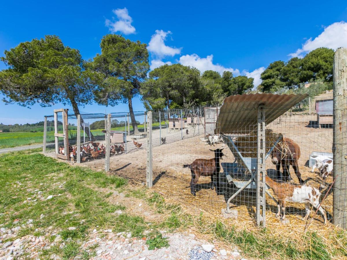 Holiday Home Il Fienile By Interhome Bibbona Exterior photo
