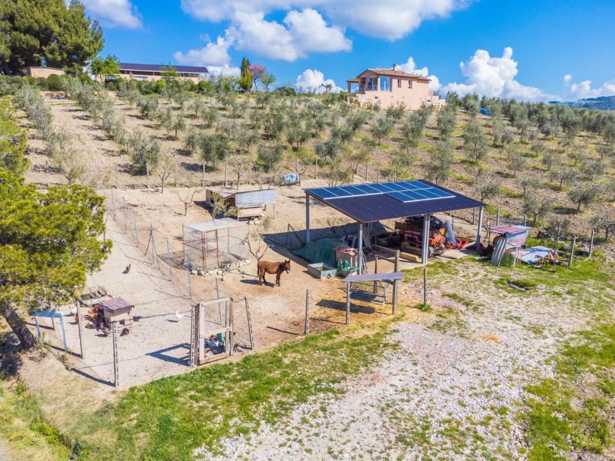Holiday Home Il Fienile By Interhome Bibbona Exterior photo